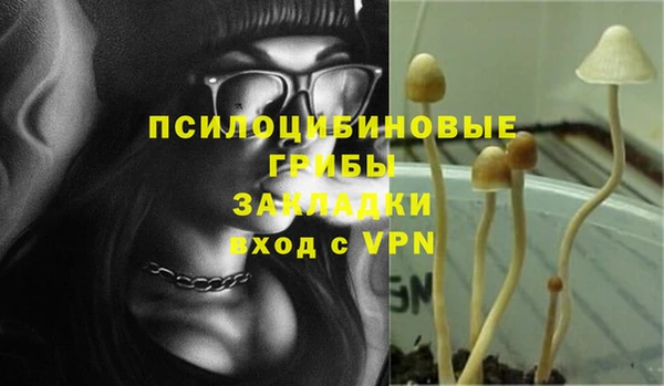 ECSTASY Володарск