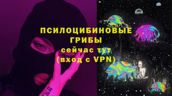 PSILOCYBIN Волоколамск