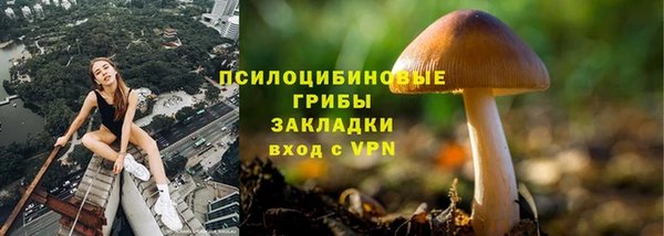 ECSTASY Володарск