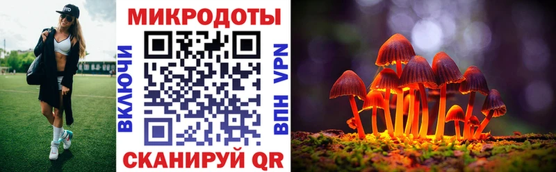 Псилоцибиновые грибы прущие грибы  Купить  Белоозёрский 